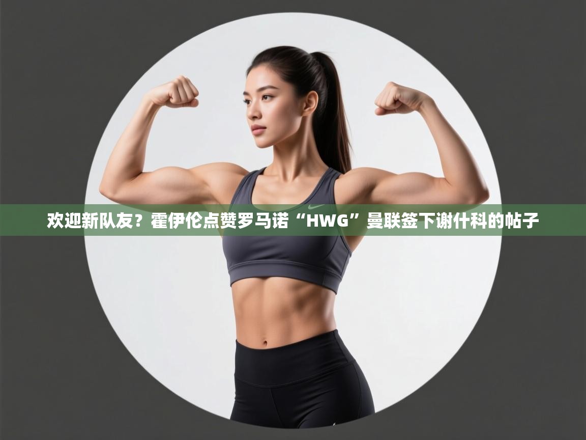 欢迎新队友？霍伊伦点赞罗马诺“HWG”曼联签下谢什科的帖子  第1张